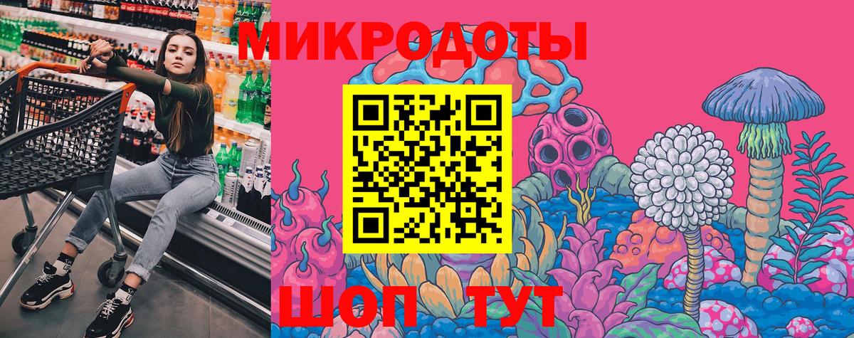 Псилоцибиновые грибы Psilocybe Чехов