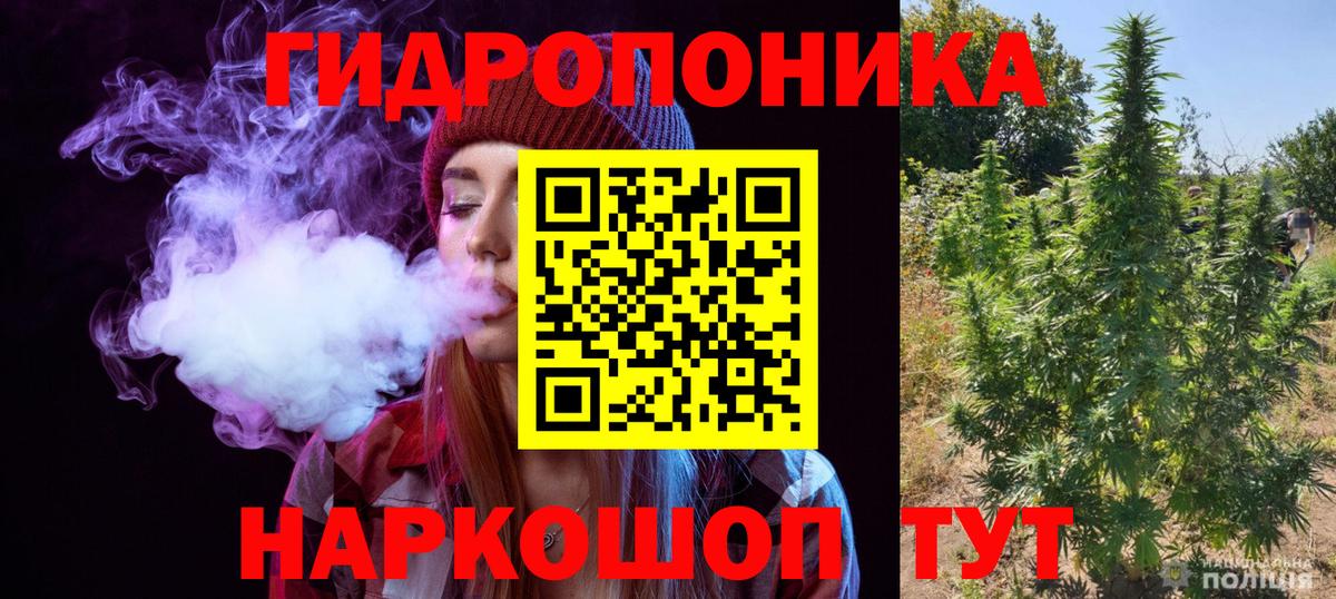 Бошки Шишки индика Чехов